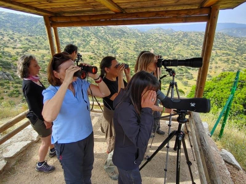 Observacion-lince-iberico-en-Sierra-Andujar-17 (1)