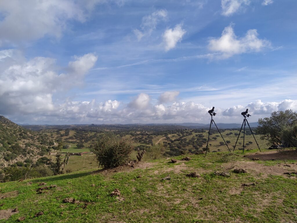 Sierra de Andujar en Verano